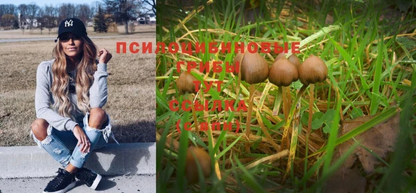 MESCALINE Нефтегорск